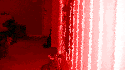 Filter Photoshop Gif Animation Kitten Play
