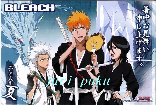 Bleach Pictures, Images and Photos