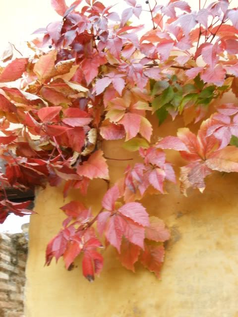 FALL 2