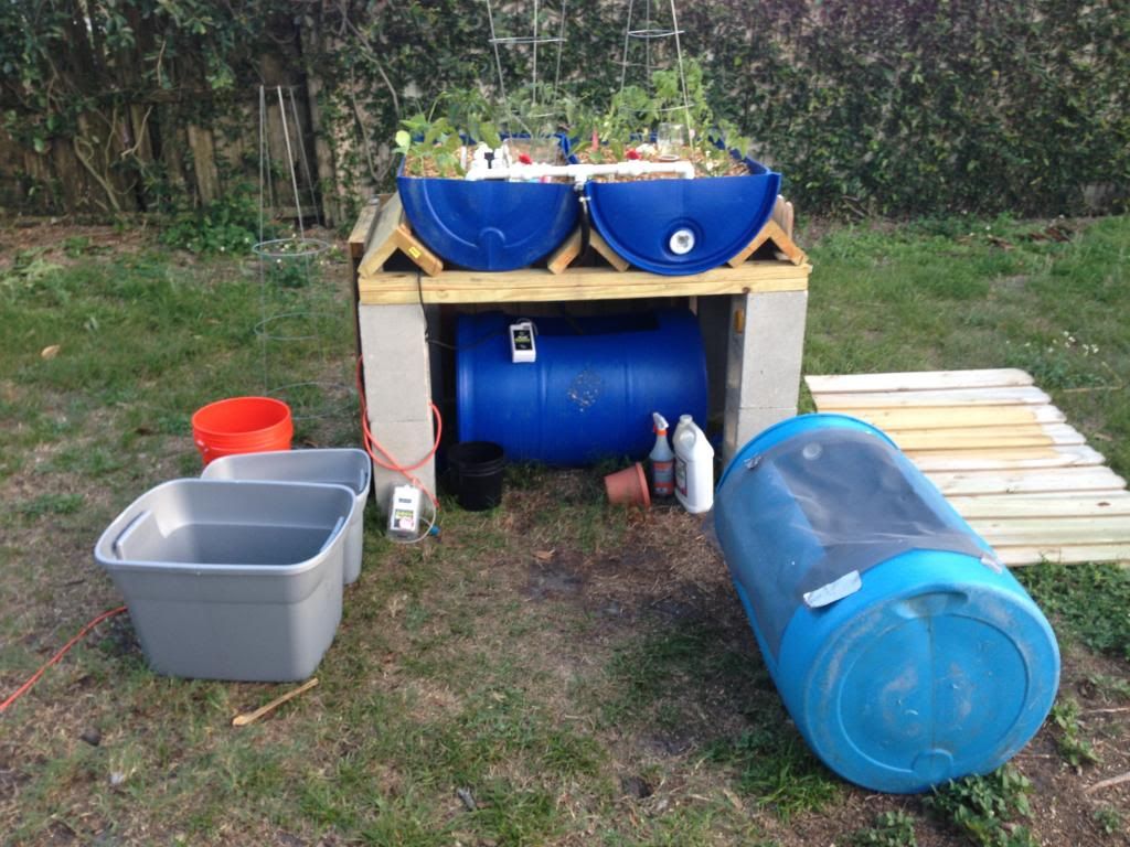 Backyard Aquaponics • View topic - Tampa Barrel-Ponics System