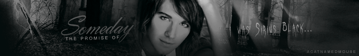 promisebanner-1.png picture by acatnamedmouse
