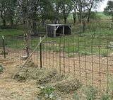 hay feeder for goats? - Goats