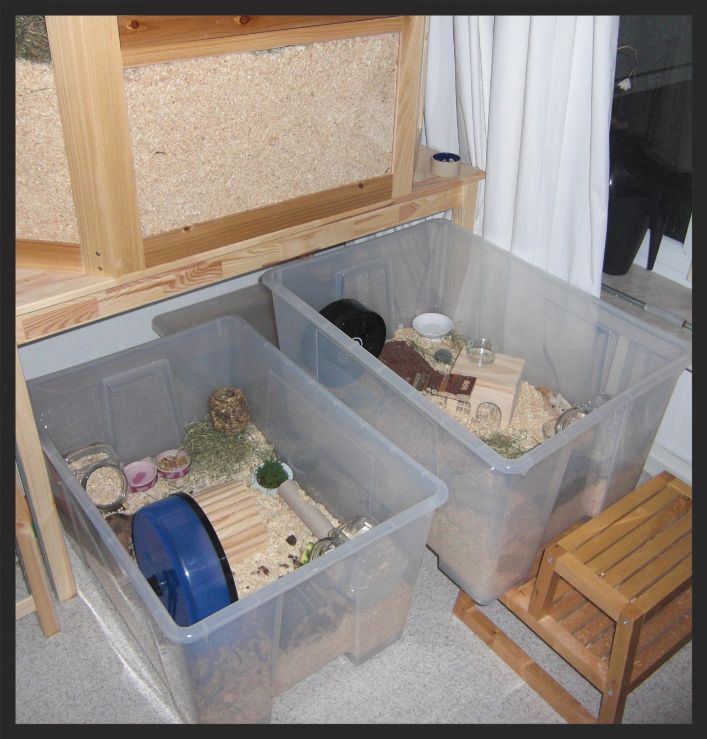 ikea samla box hamster cage