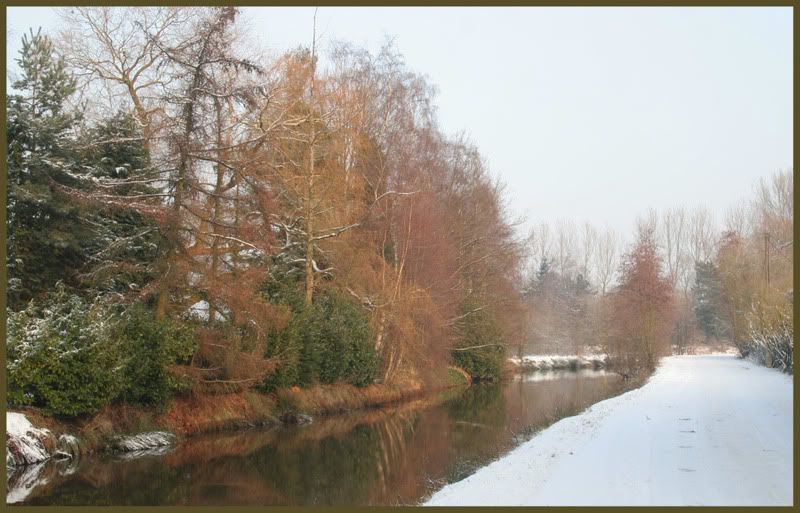Fotografie