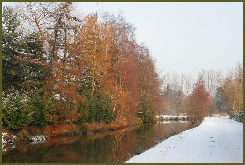 Fotografie