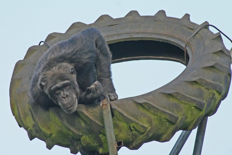 Fotografie