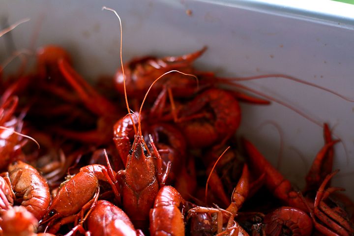  photo MichaelBday-13_zpsb02ef8bb.jpg