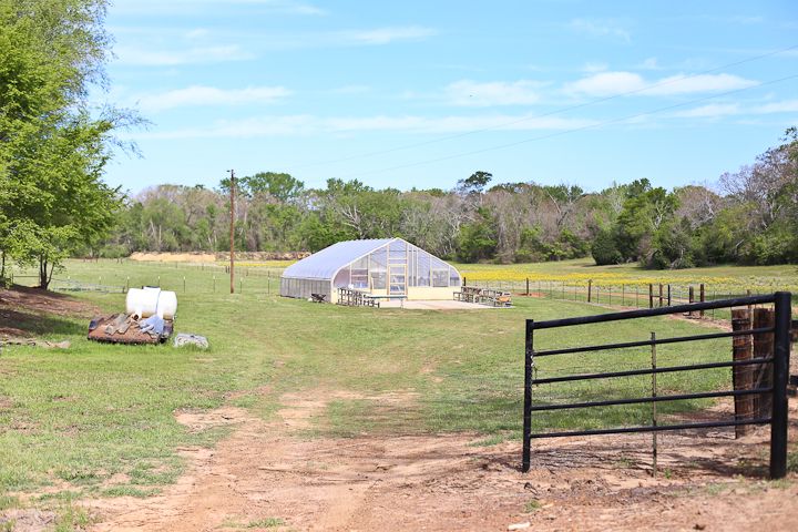  photo Palestine-21_zps9c54cff3.jpg