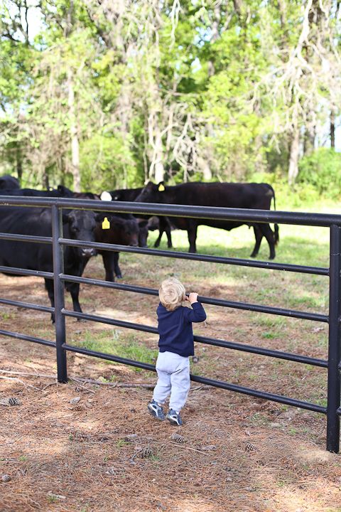  photo Palestine-22_zps051acdcf.jpg