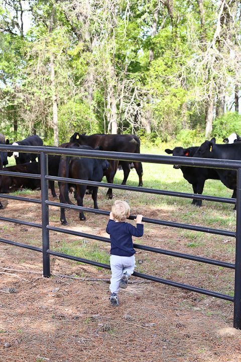  photo Palestine-23_zpse27a6e7b.jpg