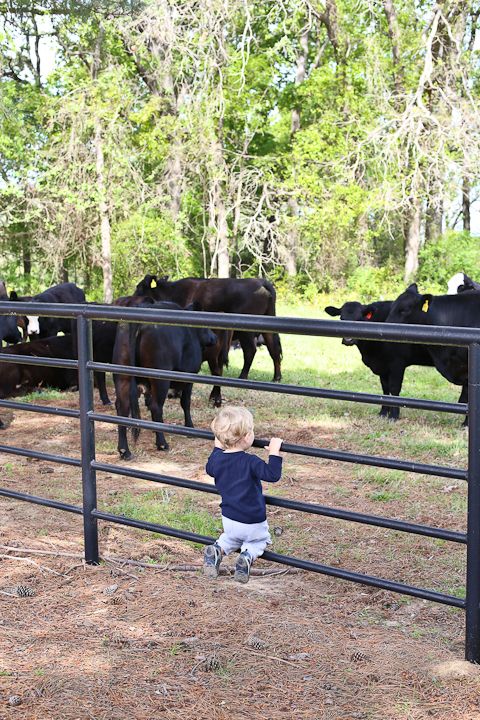  photo Palestine-24_zpsf0a7fbe2.jpg