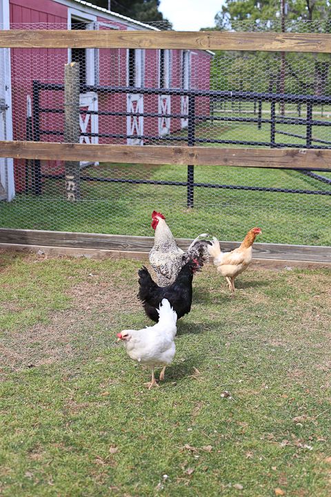  photo Palestine-28_zps13a00d21.jpg