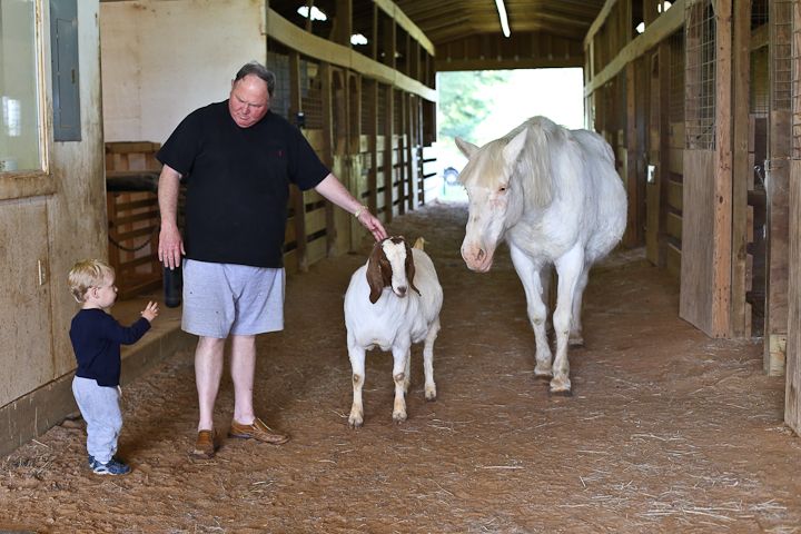  photo Palestine-29_zps70cc9e4f.jpg