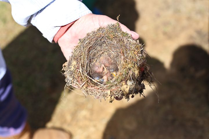  photo Palestine-30_zpsbf9b8d82.jpg