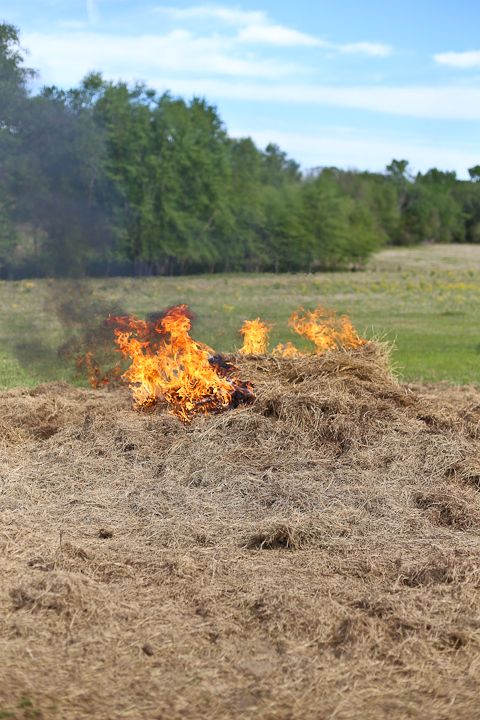  photo Palestine-7_zps51b6014a.jpg