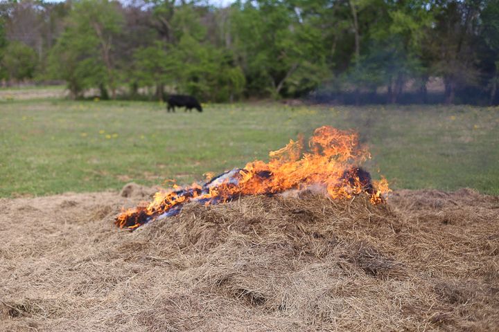  photo Palestine-8_zps4da8777c.jpg