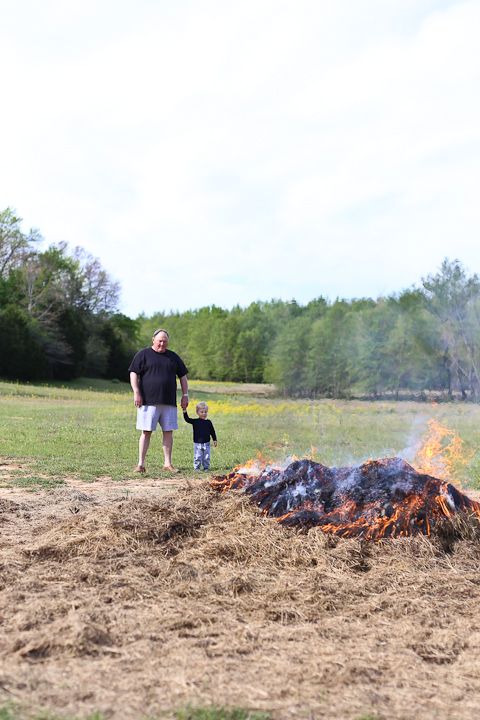  photo Palestine-9_zpsc3c01f35.jpg