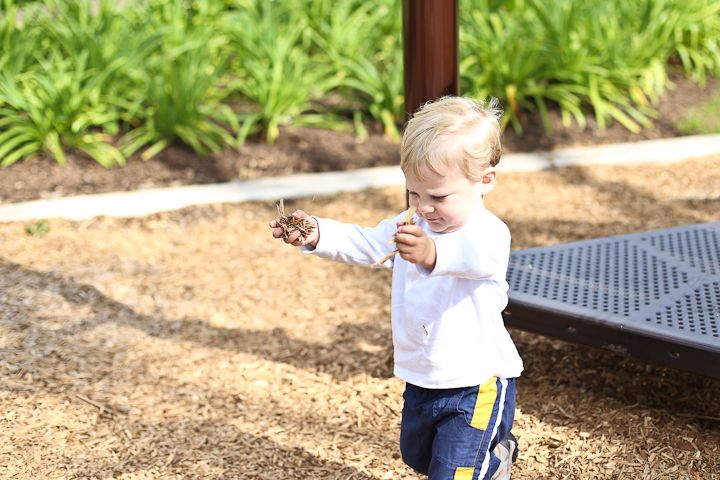  photo Park-18_zps14b9ea13.jpg