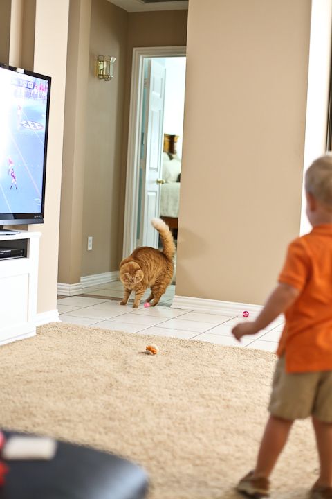  photo SaturdaypackageandNanashouse-6_zpseaa56f4b.jpg