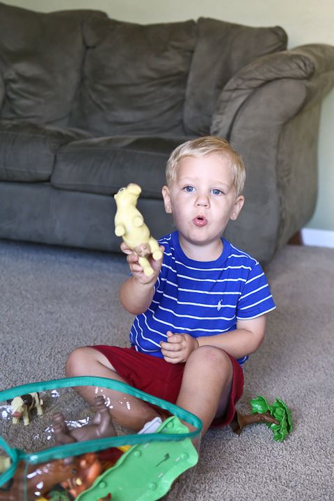  photo NewToys-5_zpsb247664f.jpg