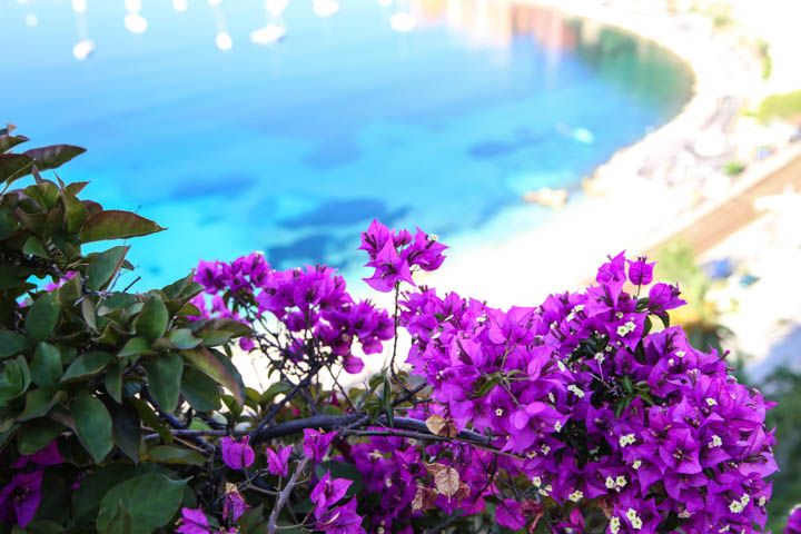  photo Cruise-13_zps983a5509.jpg