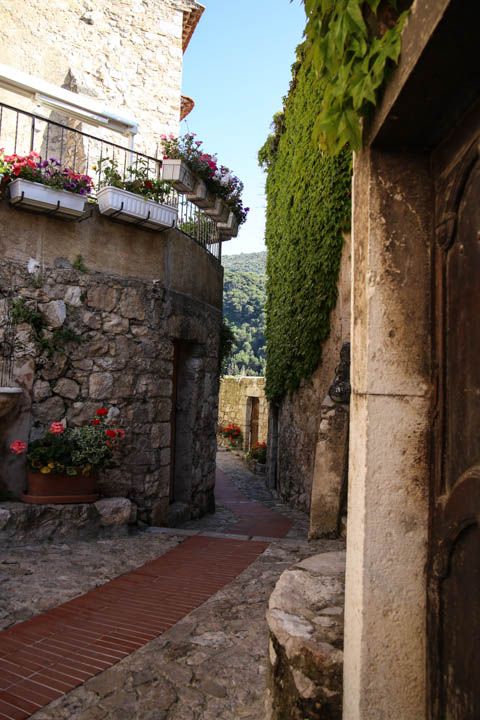  photo Cruise-23_zps7ca09901.jpg