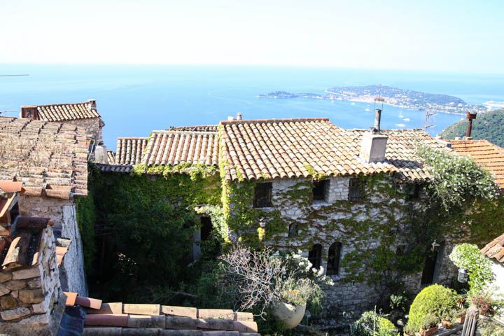  photo Cruise-25_zps2bc52971.jpg