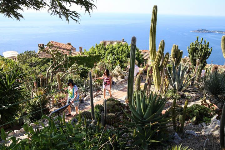  photo Cruise-28_zpscc2acab4.jpg