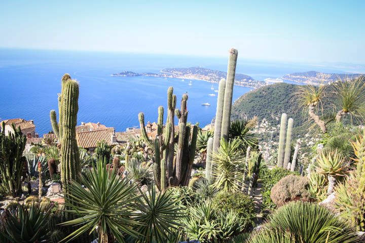  photo Cruise-29_zps1e06a21c.jpg