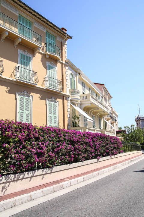  photo Cruise-60_zps8a18e900.jpg