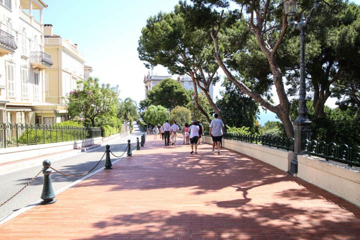  photo Cruise-61_zps9331d3ce.jpg