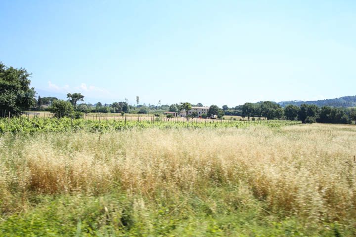  photo PisaandLuca-43_zps92f3c479.jpg