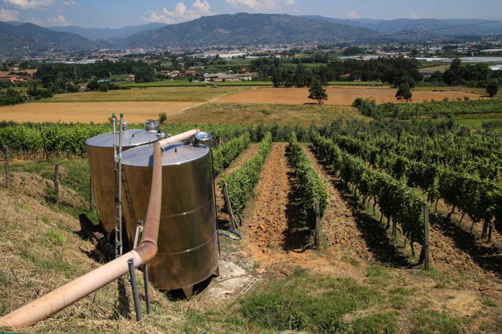  photo PisaandLuca-44_zps9c9285cb.jpg