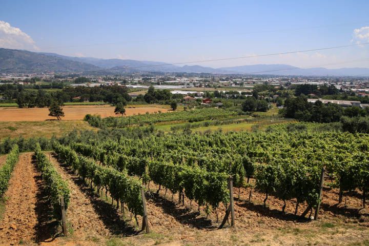  photo PisaandLuca-46_zps19ea1c8f.jpg