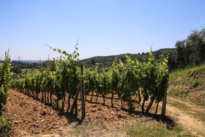  photo PisaandLuca-57_zps04a06bc6.jpg