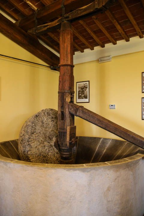  photo PisaandLuca-58_zpsa2f4920a.jpg