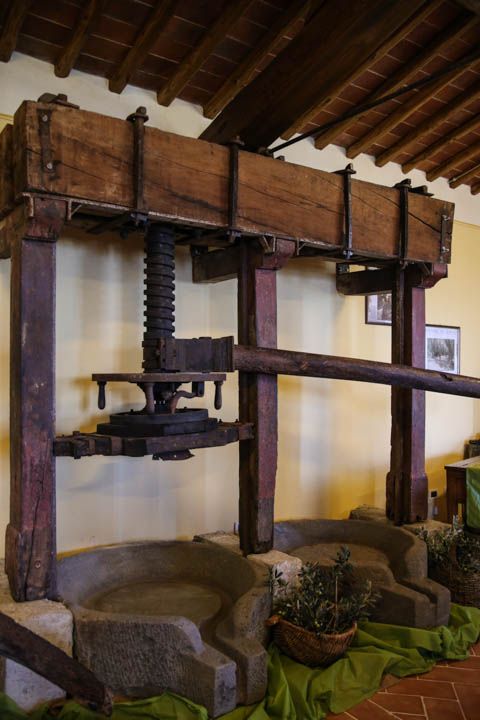  photo PisaandLuca-59_zpseab66f04.jpg