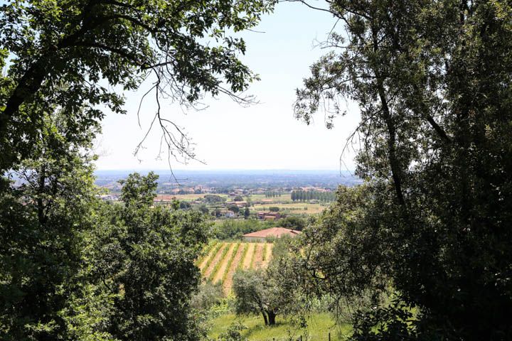  photo PisaandLuca-68_zps85606b2e.jpg