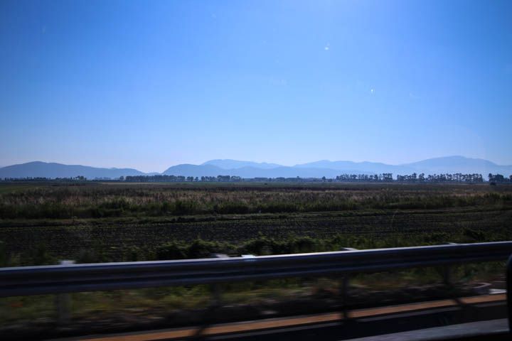  photo PisaandLuca-6_zps7d0ef8a0.jpg