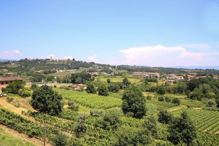  photo PisaandLuca-73_zpsd3a35966.jpg