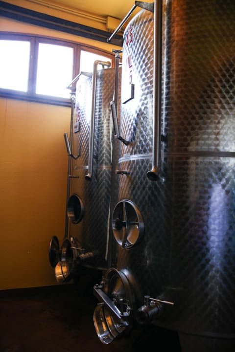  photo PisaandLuca-74_zpsa4e52639.jpg