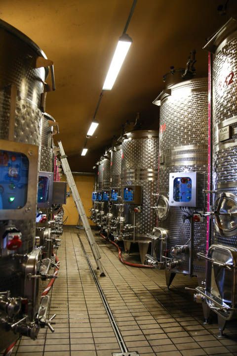  photo PisaandLuca-75_zps64ac4eff.jpg