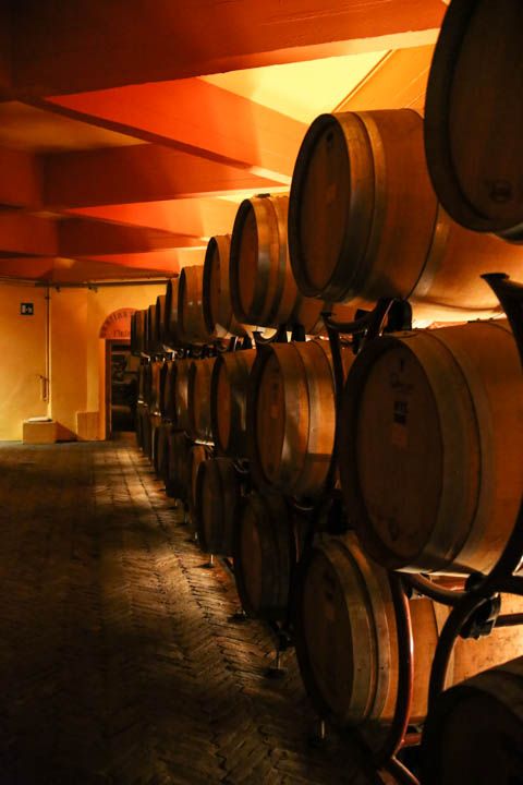  photo PisaandLuca-76_zps671aa540.jpg