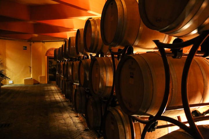  photo PisaandLuca-77_zps6914ebe7.jpg