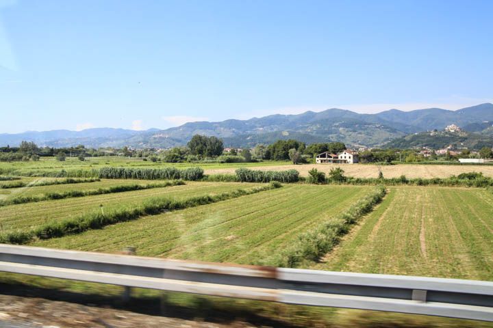  photo PisaandLuca-93_zps001c1392.jpg