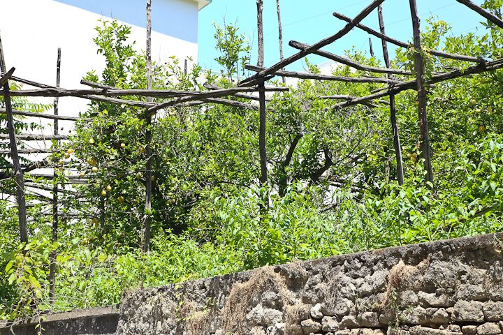  photo Sorrento-Amalfi-21_zps4ed312e7.jpg