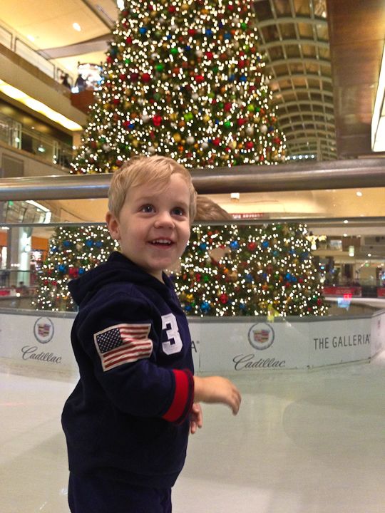  photo GalleriaTree-3_zpsaaa5f9ff.jpg