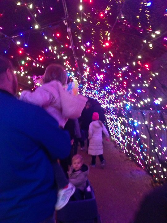  photo ZooLights-10_zpsddeb20a4.jpg
