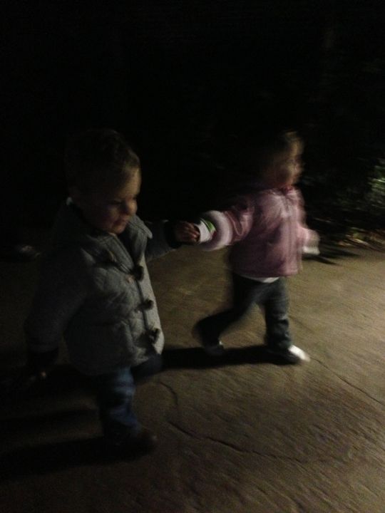  photo ZooLights-3_zpse4cd83e6.jpg