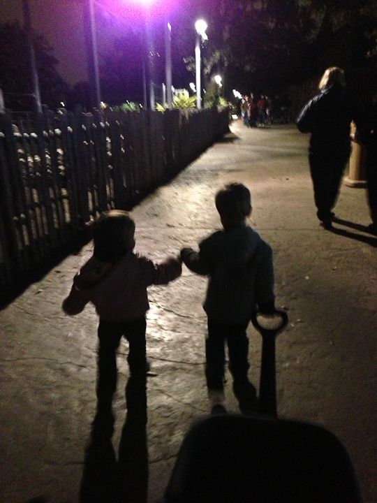  photo ZooLights-4_zpsf12ae82e.jpg